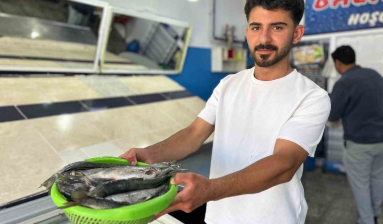 inci-kefali-tezg-hlardaki-yerini-aldi-PTFjbuFj.jpg
