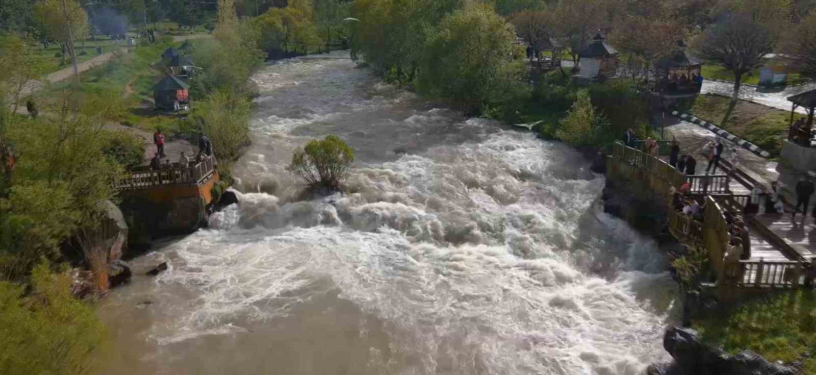 inci kefalinin goc yolculugunu gormeye gelenler eli bos ayrildi 0 zedhwZIc