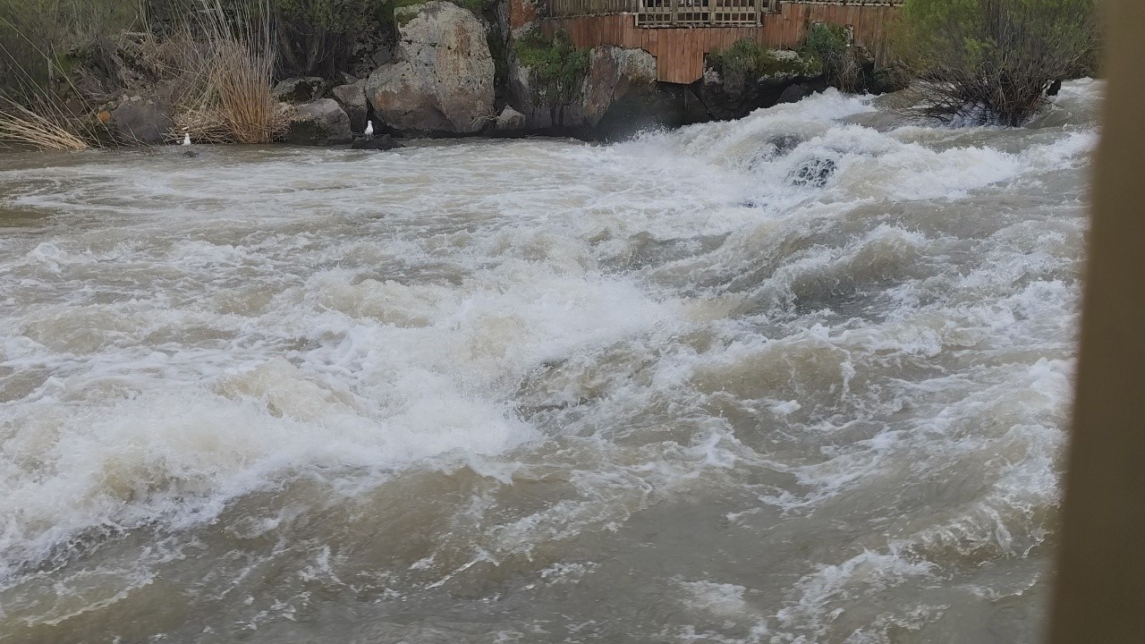 inci kefalinin goc yolculugunu gormeye gelenler eli bos ayrildi 6 KpBU4RWu