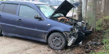 inegolde-kontrolden-cikan-otomobil-kaldirima-ve-agaca-carpti-2-yarali-wDV73znI.jpg