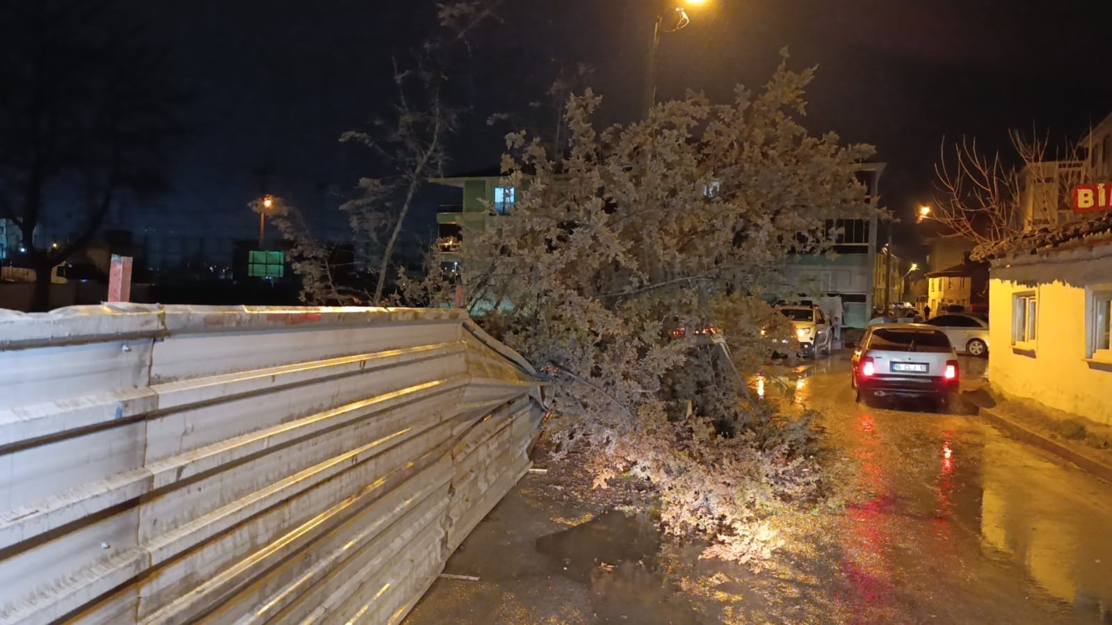 inegolde ruzgarin etkisiyle agac devrildi 6 iO9wNCCR