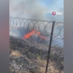 inegoldeki-yanginda-100-donum-ekili-alan-zarar-gordu-8pwgUqx6.jpg