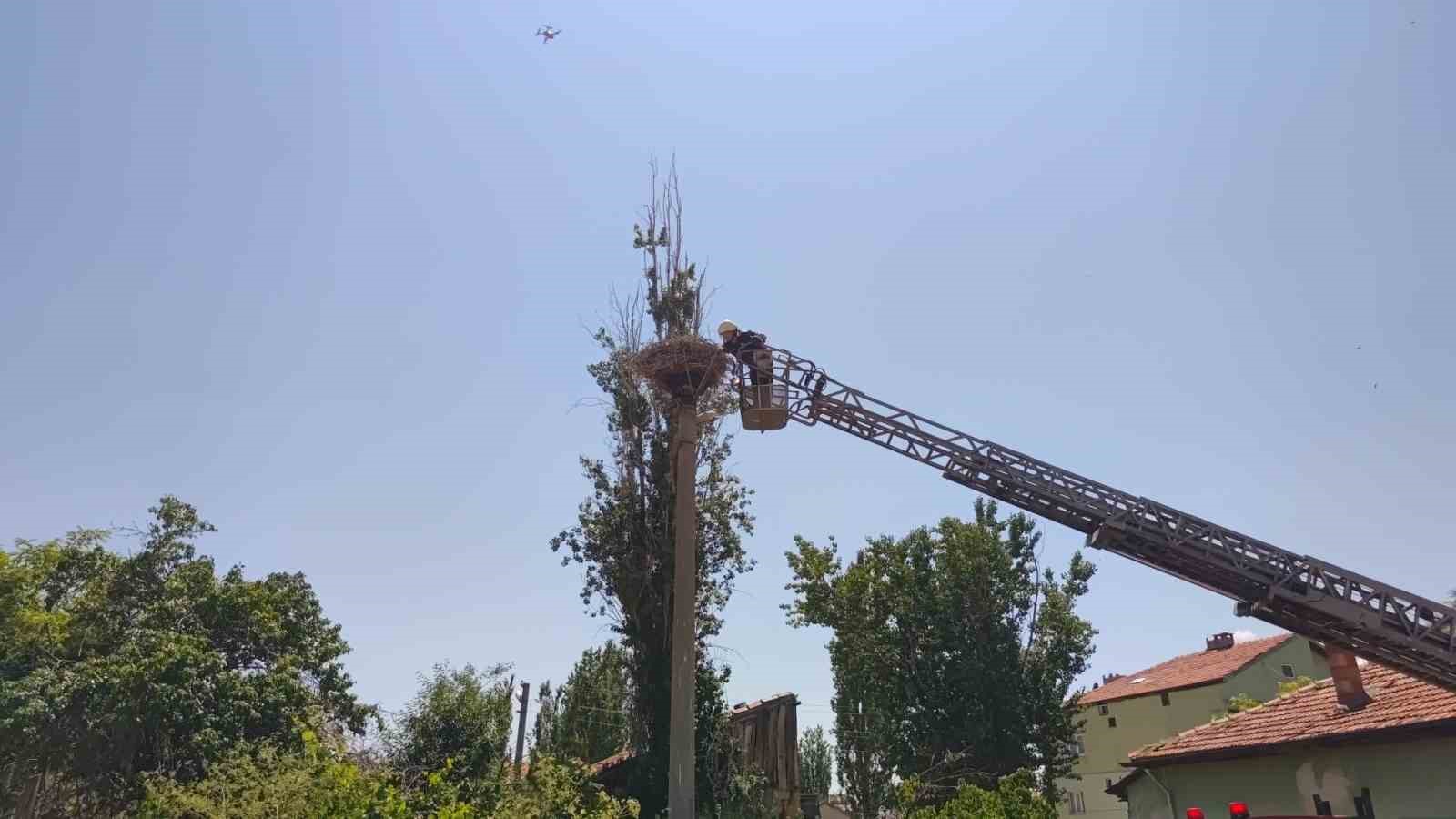 İpe dolanan leyleğin yardımına itfaiye yetişti 4 ipe dolanan leylegin yardimina itfaiye yetisti 0 vSnnMab1