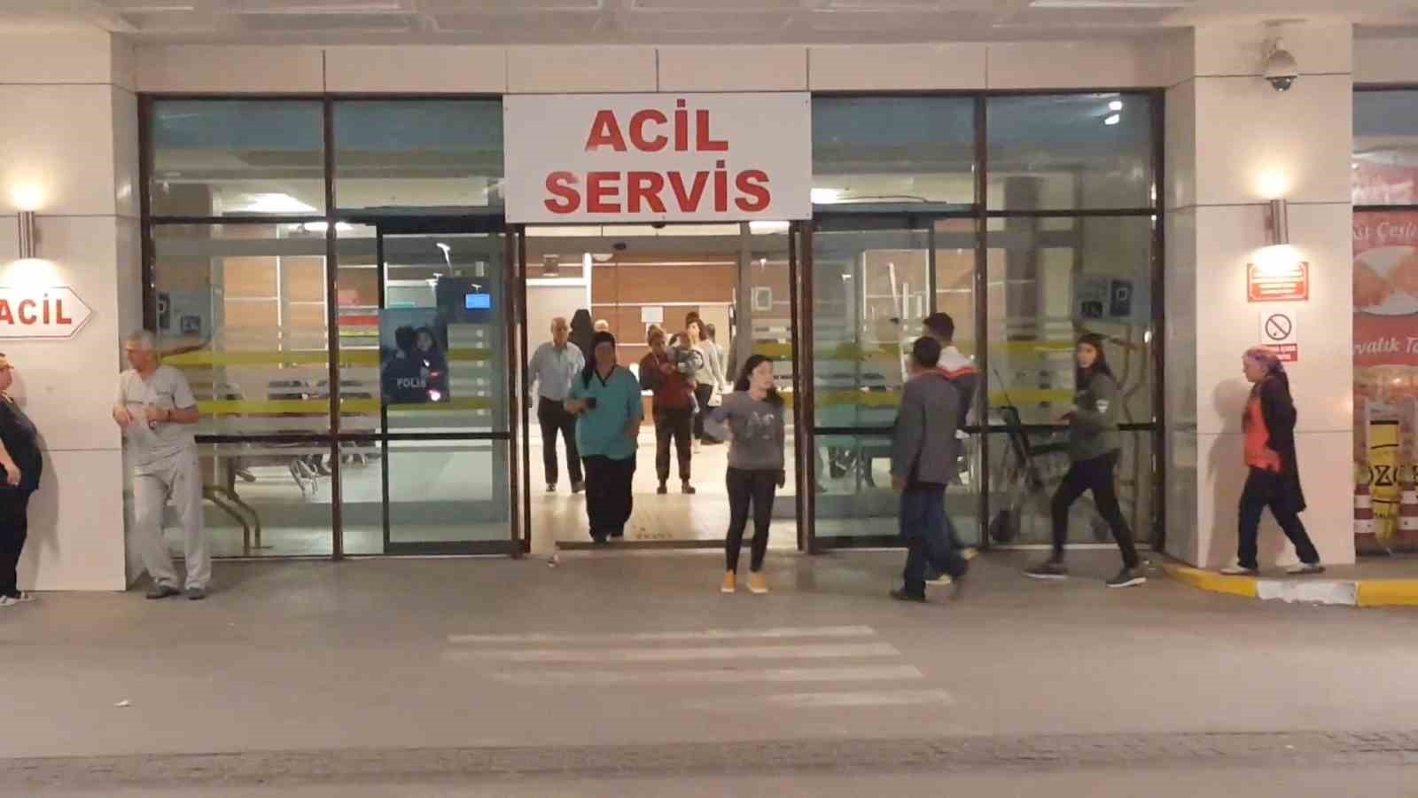 ipsalada ahira yildirim dustu 3 buyukbas hayvan telef oldu ciftlik sahibi yaralandi 0 GIkg9RHP