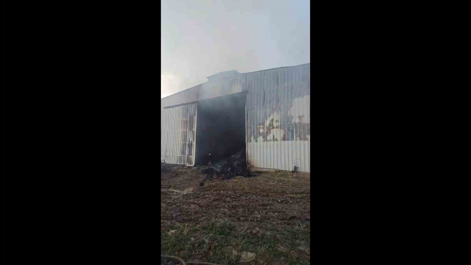 ipsalada ahira yildirim dustu 3 buyukbas hayvan telef oldu ciftlik sahibi yaralandi 2