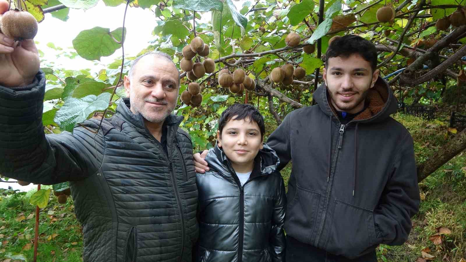 irandan gelen kivi fiyatlari ucuzlatiyor 5 CkyjunUB