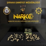 iranli-iki-kisi-151-parca-halinde-yuttuklari-93926-gram-metamfetaminle-yakalandi-nj5tcT2D.jpg