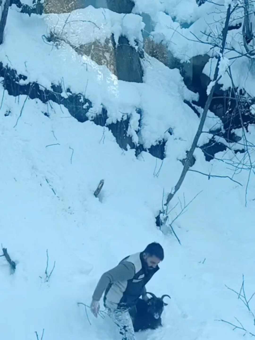 is makinesi operatoru karda kaybolan keciyi sahiplerine ulastirdi 2