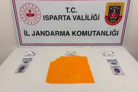 Seyir halindeki pikap alevlere teslim oldu 3 thumbnail