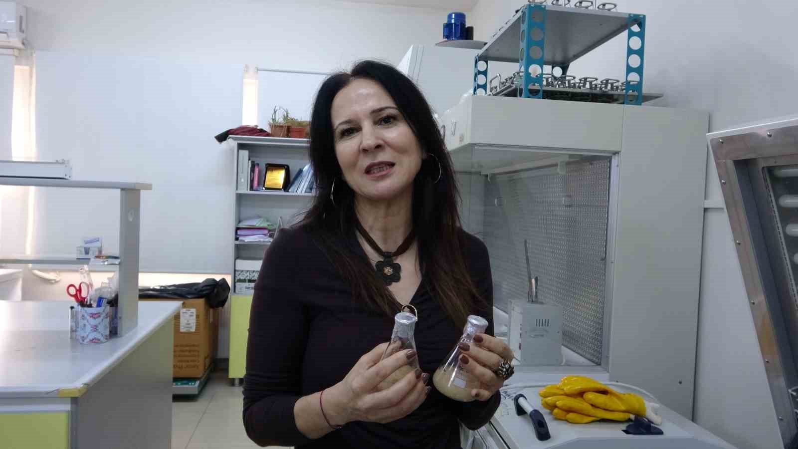 ispartada endemik bitkiden dogaya zarar vermeden kanserle mucadeleye umut olacak uretim modeli gelistiriliyor 1 N5kKziHs