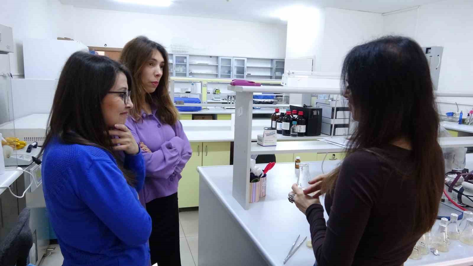 ispartada endemik bitkiden dogaya zarar vermeden kanserle mucadeleye umut olacak uretim modeli gelistiriliyor 5 fFtfVucH