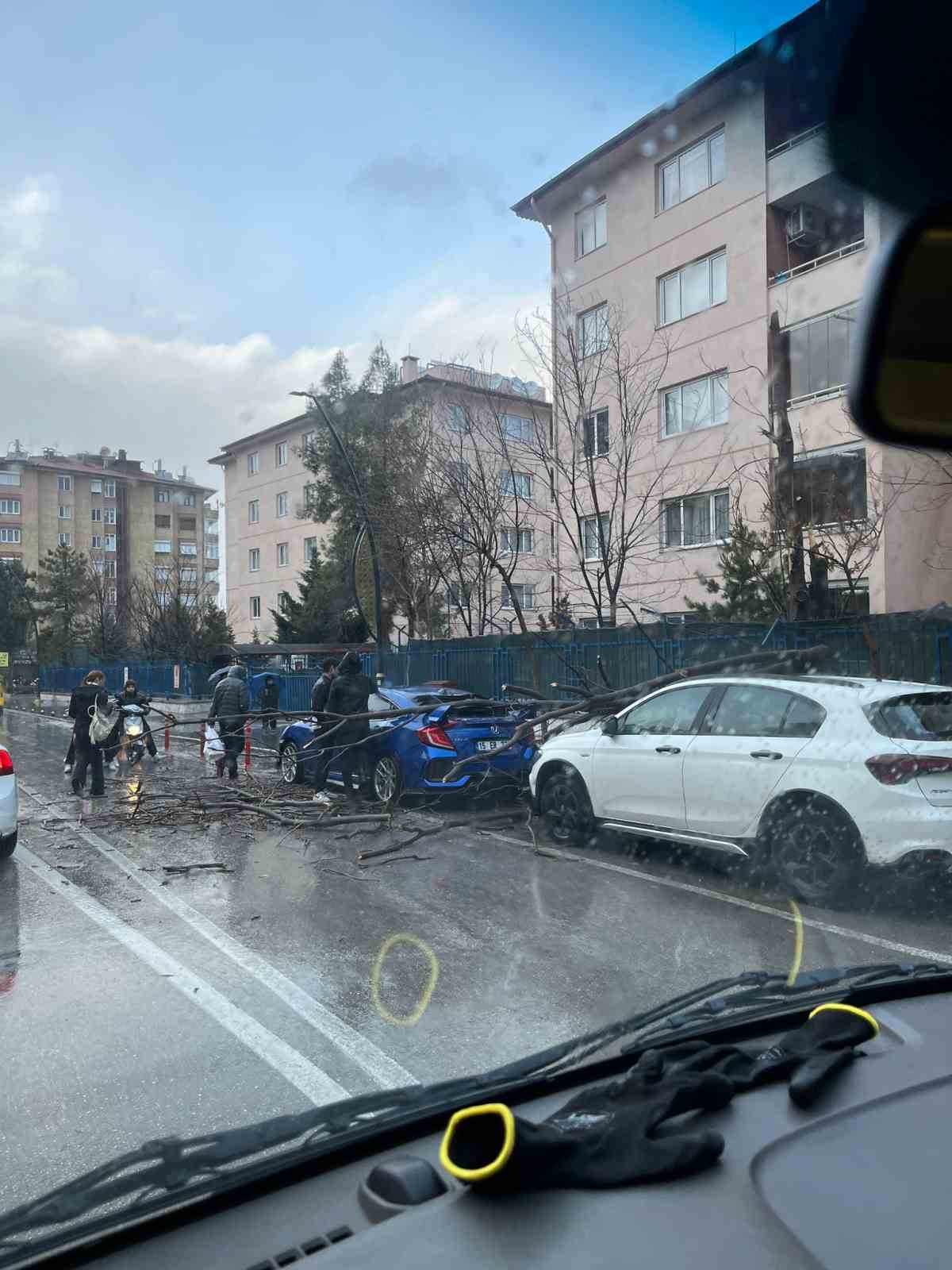 ispartada firtina agaclari devirdi araclar hasar gordu 1 qOiLZfYj