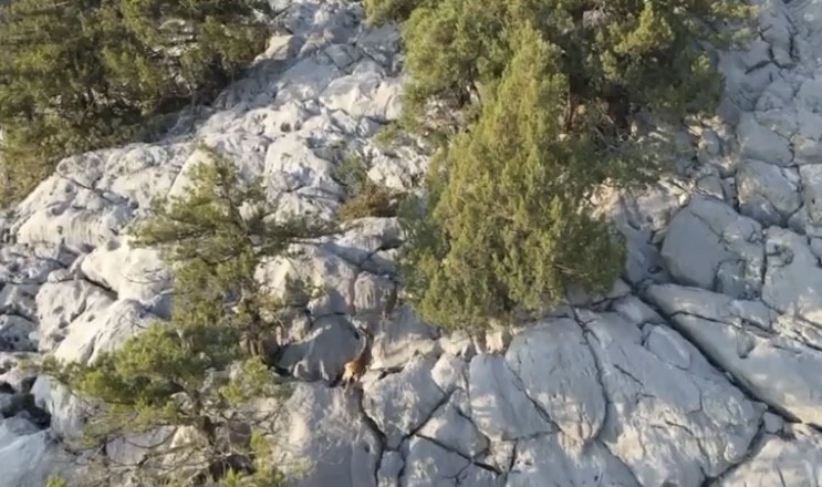 ispartada kacak avci dron kamerasinda 1 m23brTr3