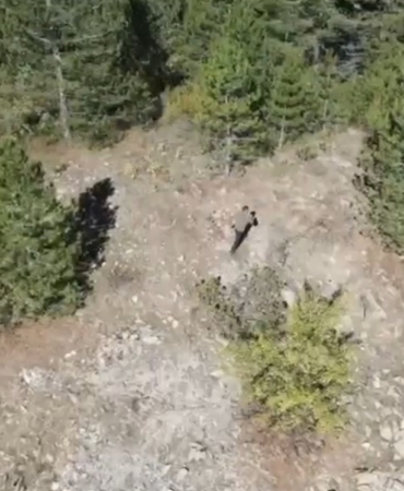 ispartada-kacak-avci-dron-kamerasinda-g6ltygDA.jpg