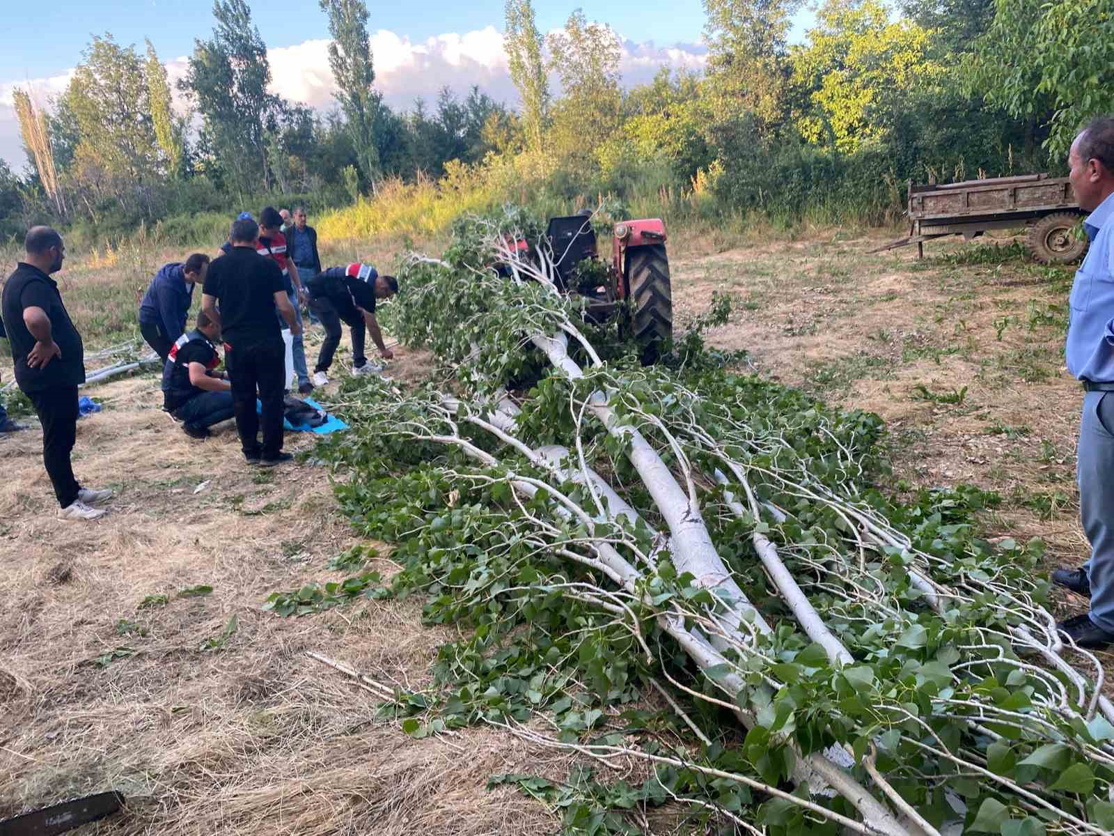Isparta’da kestiği ağacın altında kalan adam hayatını kaybetti 4 ispartada kestigi agacin altinda kalan adam hayatini kaybetti 0 tAA8icvw