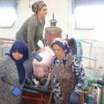 ispartanin-pembe-hazinesi-4-ton-gulden-elde-edilen-yagin-kilosu-12-bin-avroya-alici-kRFdpKjI.jpg