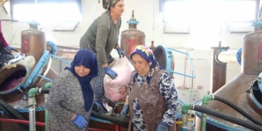 ispartanin-pembe-hazinesi-4-ton-gulden-elde-edilen-yagin-kilosu-12-bin-avroya-alici-kRFdpKjI.jpg