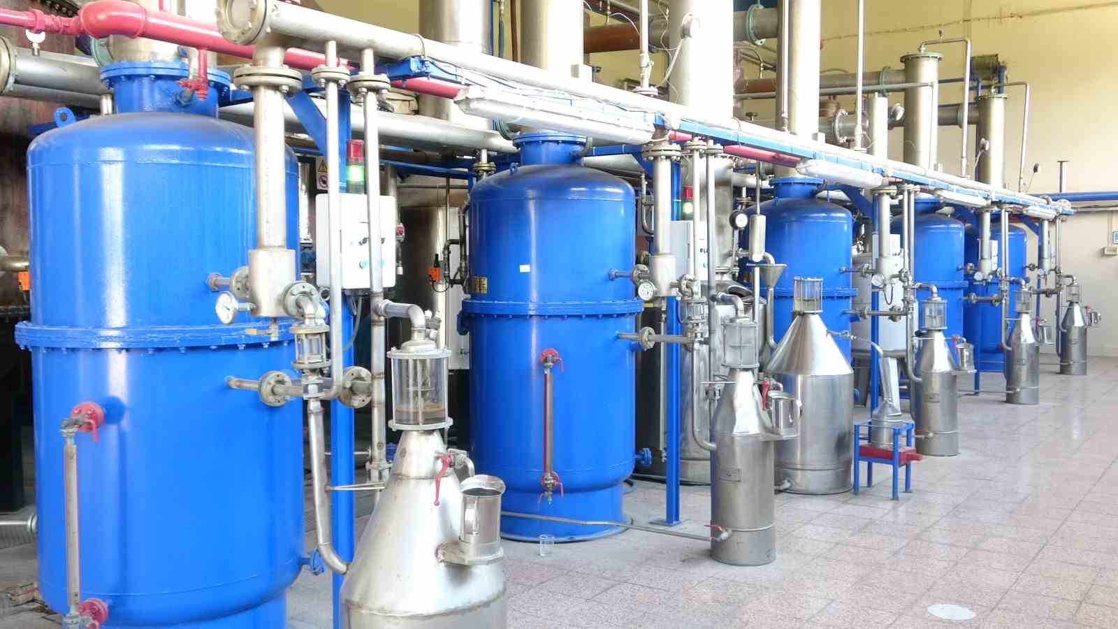Isparta’nın pembe hazinesi: 4 ton gülden elde edilen yağın kilosu 12 bin avroya alıcı buluyor 7 ispartanin pembe hazinesi 4 ton gulden elde edilen yagin kilosu 12 bin avroya alici nbhmTcpM
