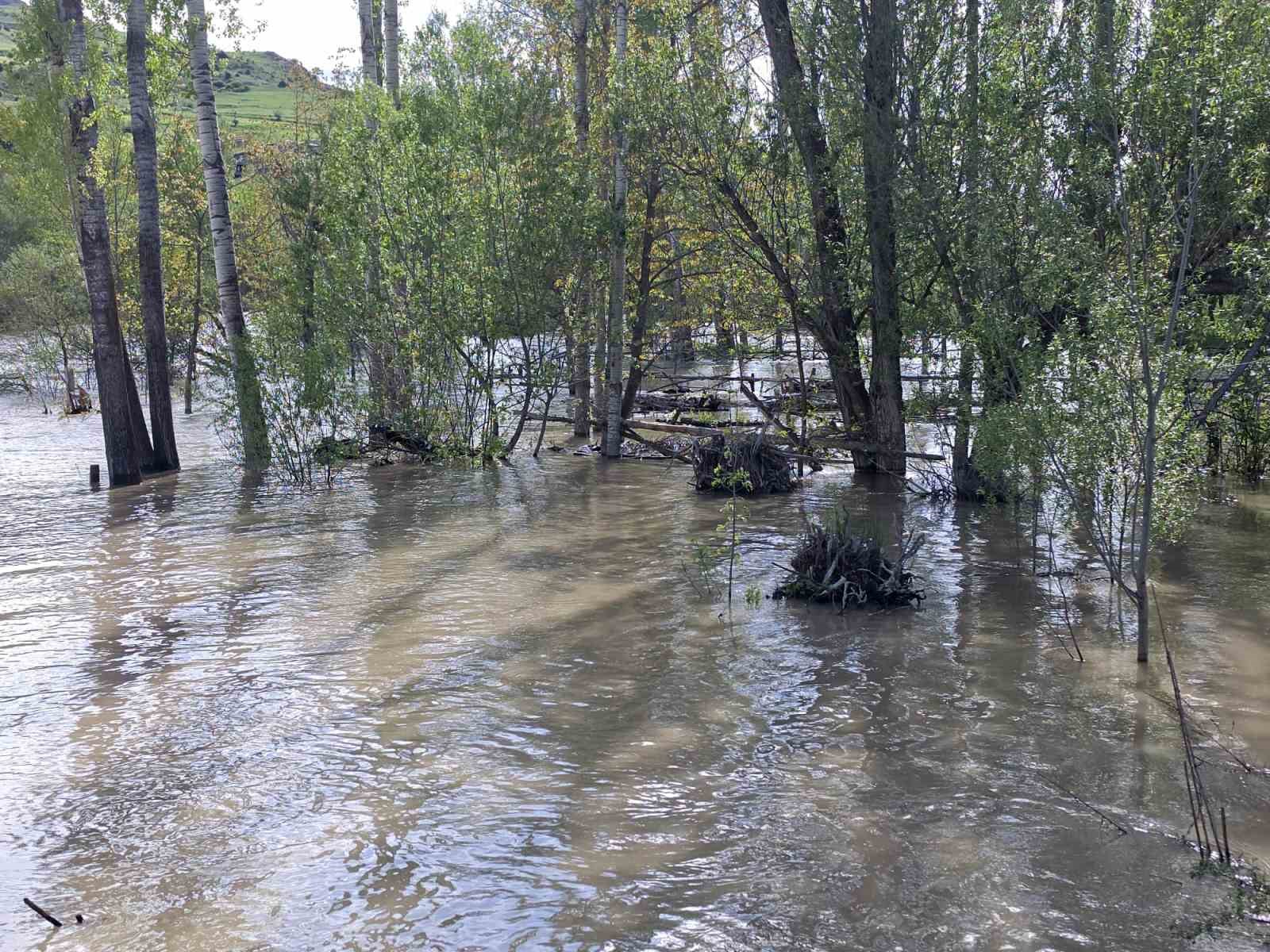 ispirde coruh vadisinde karlarin erimesiyle su seviyesi yukseldi evler bosaltiliyor 4