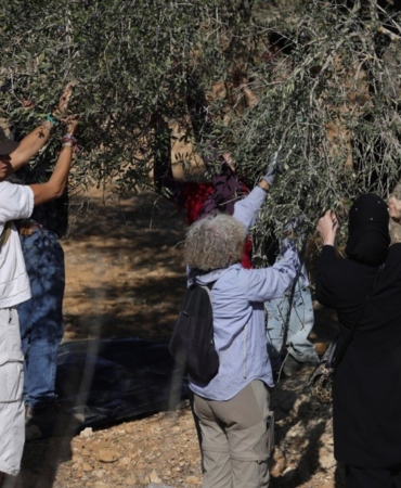 israil-gectigimiz-ay-bati-seriada-2-bin-350-saldiri-gerceklestirdi-iIqeOShE.jpg