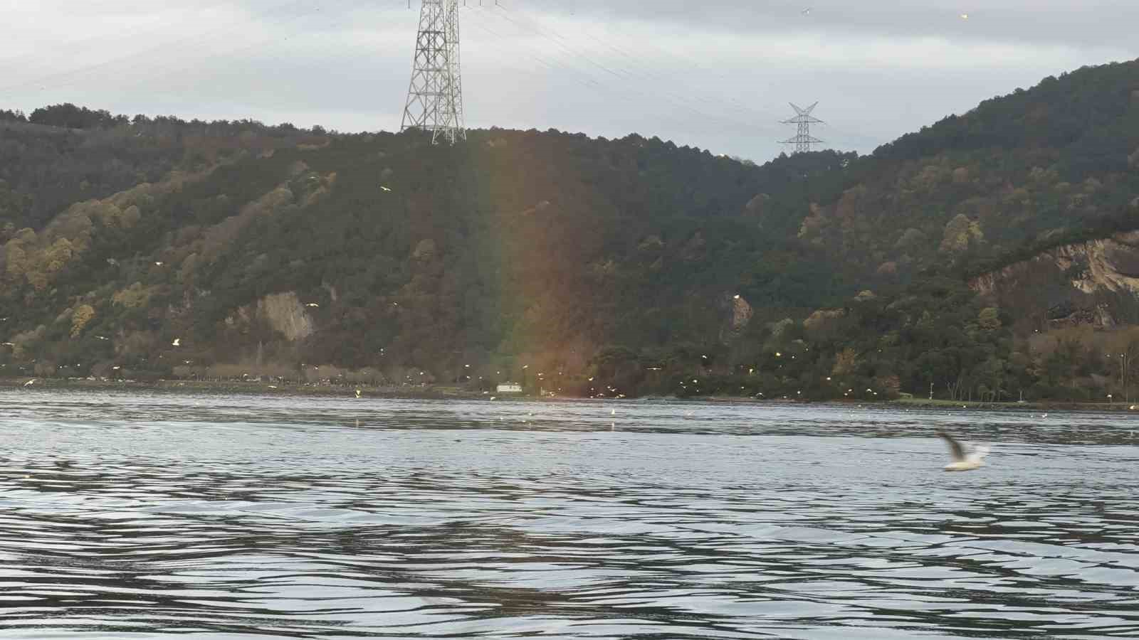 İstanbul Boğazı’nda gökkuşağı şöleni 5 istanbul bogazinda gokkusagi soleni 1 IQiUsfpf
