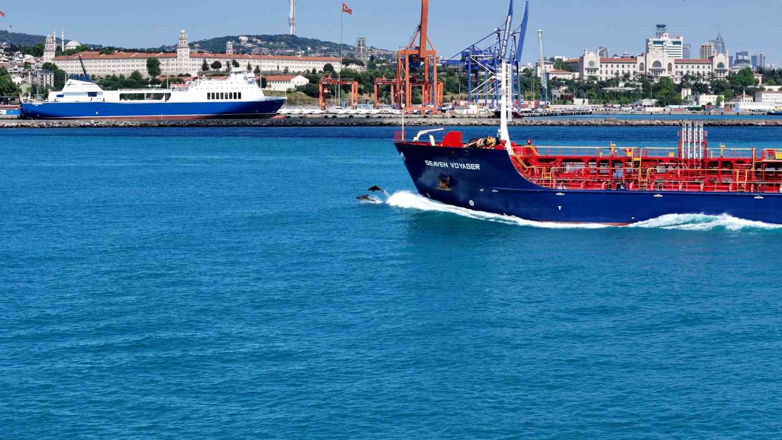istanbul bogazindan yunus surusuyle kurban bayrami manzarasi 0