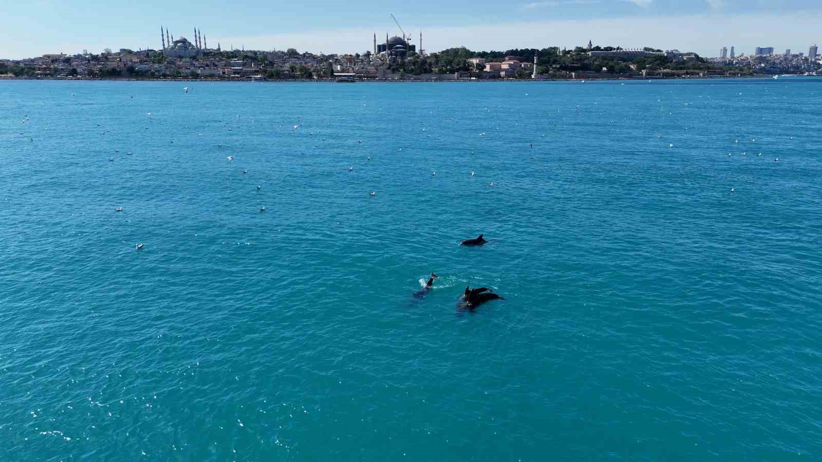 istanbul bogazindan yunus surusuyle kurban bayrami manzarasi 1 fkUAfb62