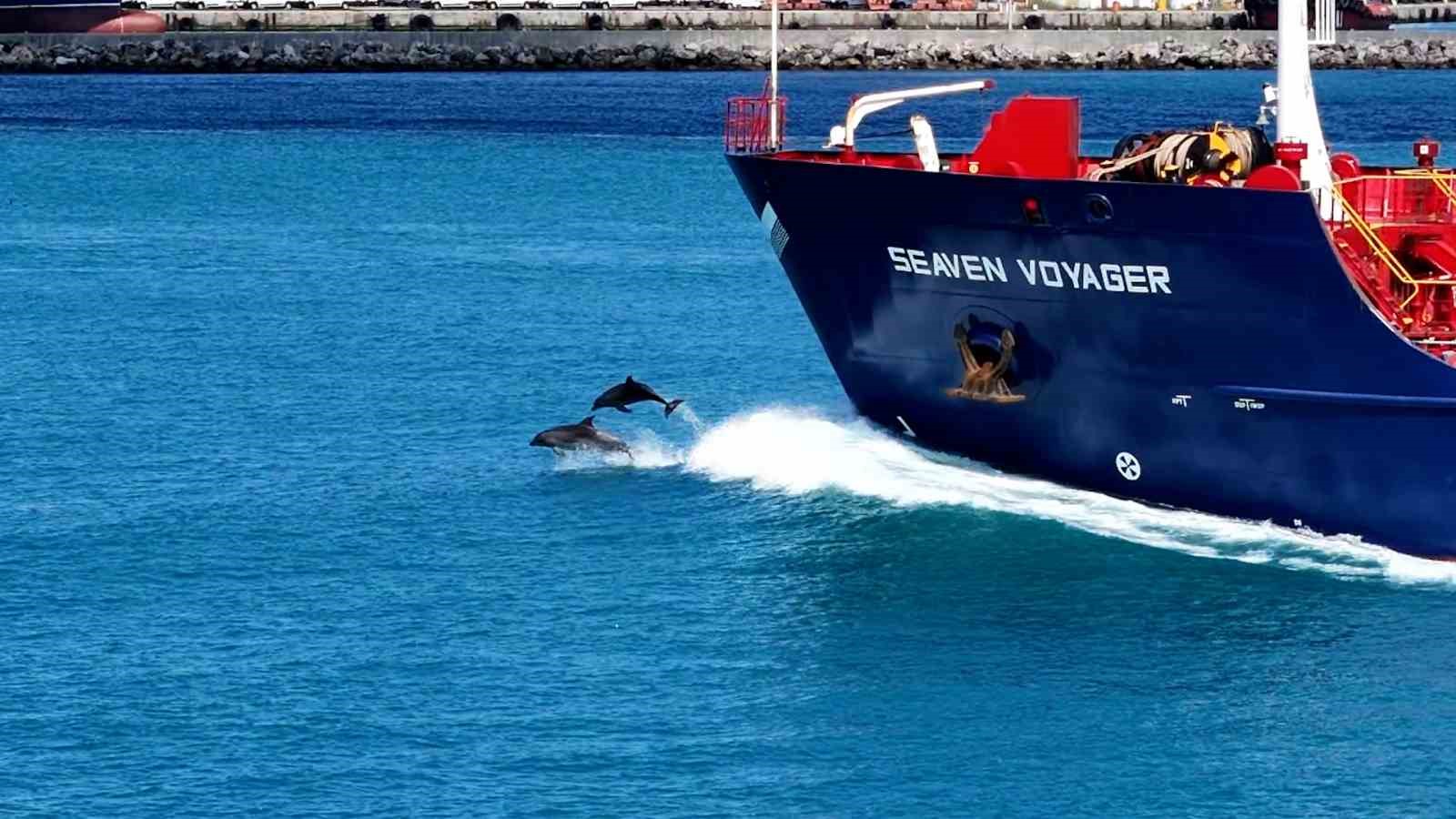 istanbul bogazindan yunus surusuyle kurban bayrami manzarasi 4 NQjGK1uF