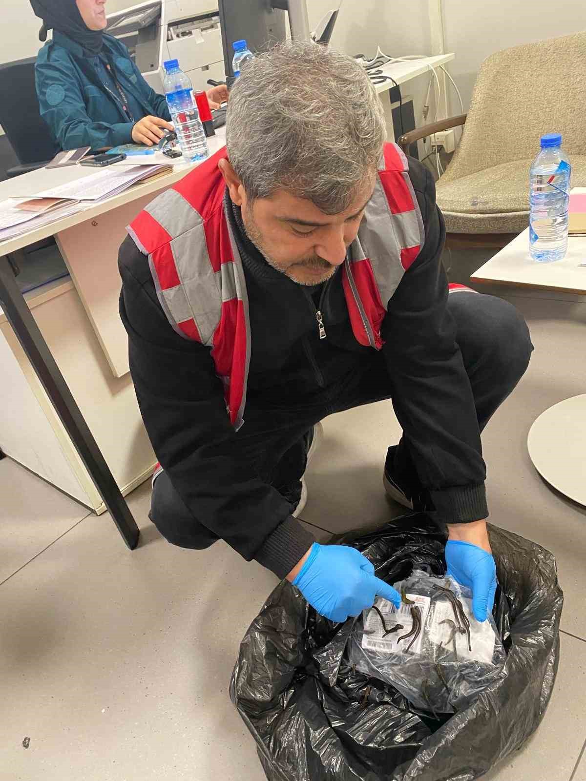 istanbul havalimaninda 5 bin adet tibbi suluk ele gecirildi 1 Q7DRHO4n