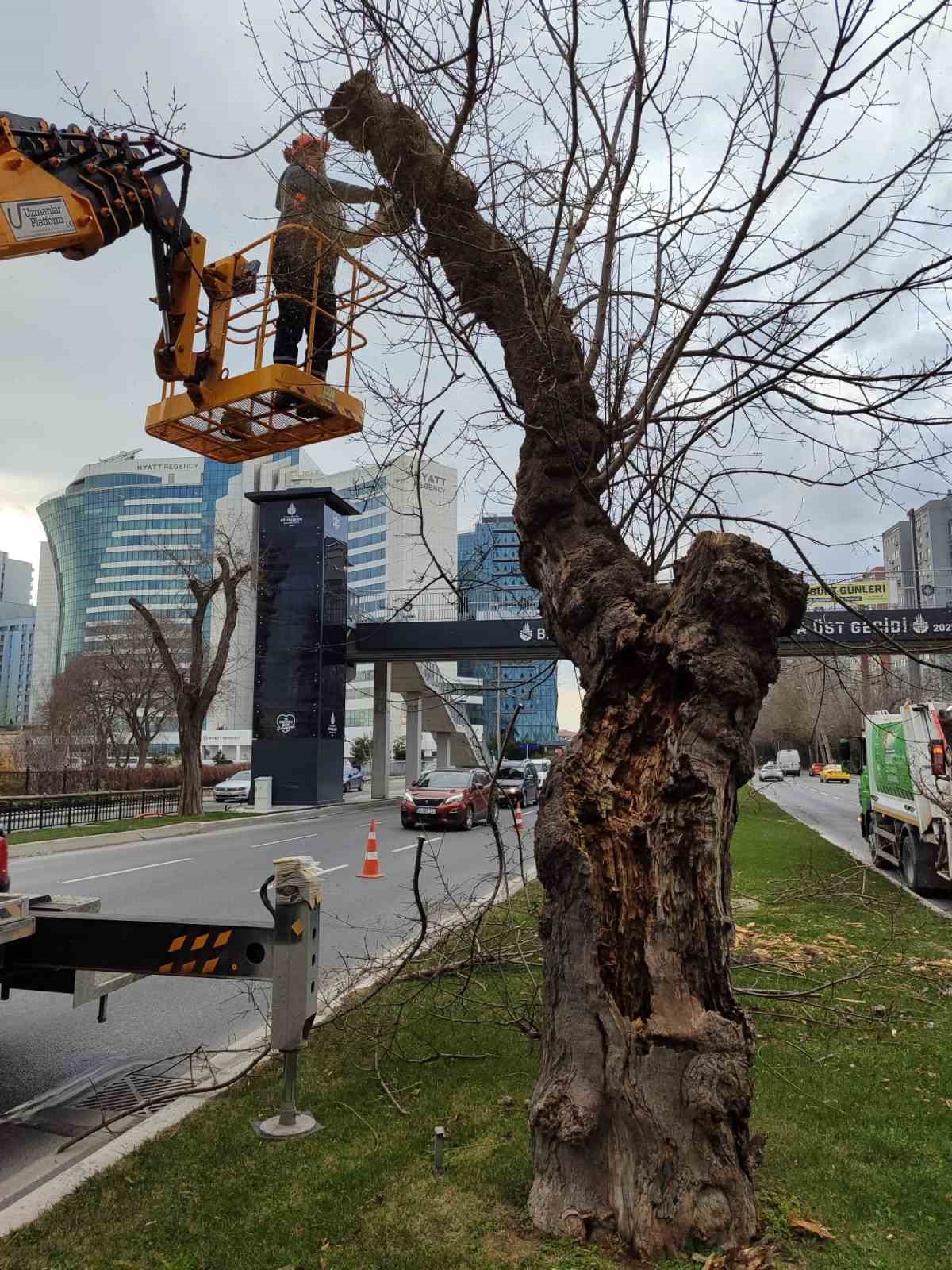 istanbul icin lodos uyarisi kuvvetli firtina etkili olacak 1 Z7Qngl7g