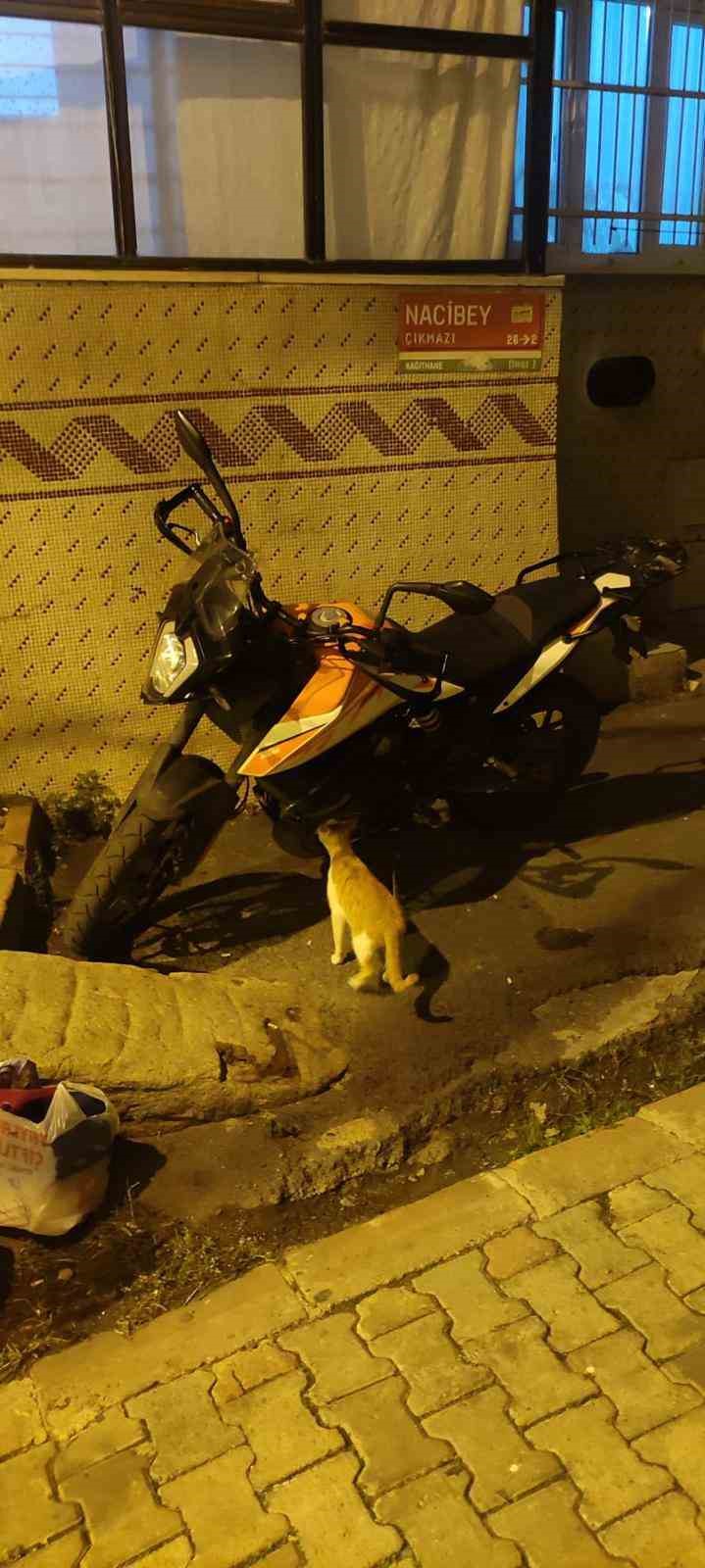 istanbul merkezli 3 ilde yeni nesli suc orgutune yonelik operasyon 105 adres arandi 89 HSeEagJT