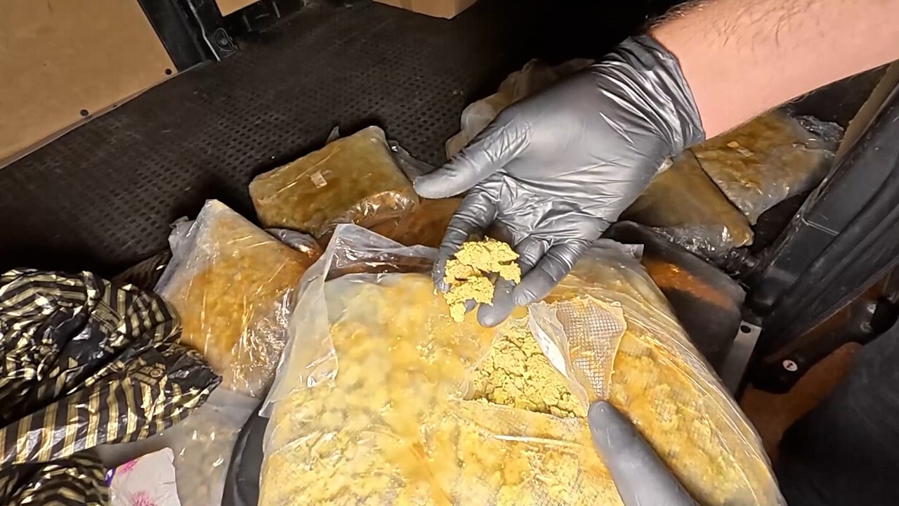 İstanbul’da 3 ilçede uyuşturucu operasyonu: 45 skunk kilogram skunk ele geçirildi, 4 gözaltı 5 istanbulda 3 ilcede uyusturucu operasyonu 45 skunk kilogram skunk ele gecirildi 4 gozalti 1 wFP2WTTm