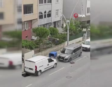 istanbulda-firtina-etkili-oldu-agaclar-devrildi-re85b9Iw.jpg