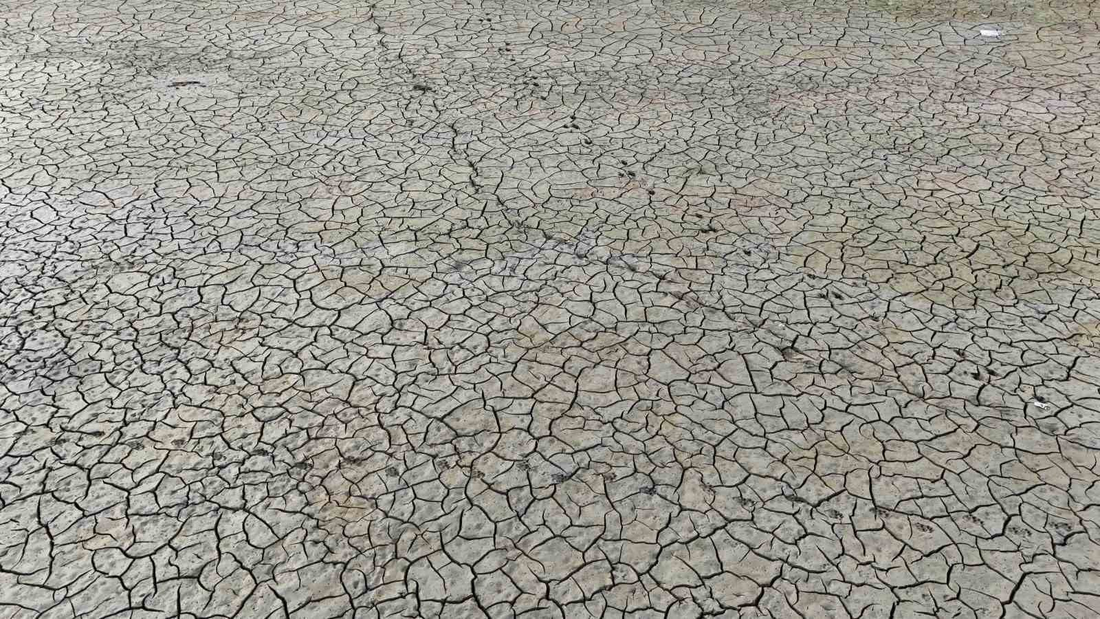 istanbulda isi adalari yagislari engelliyor barajlar alarm veriyor 6 sA1bUNks