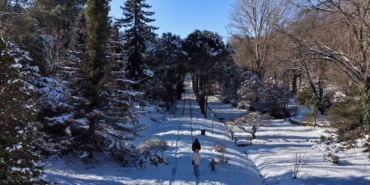 istanbulda-kar-goremeyenler-ataturk-arboretumuna-geldi-vDUL7EnU.jpg