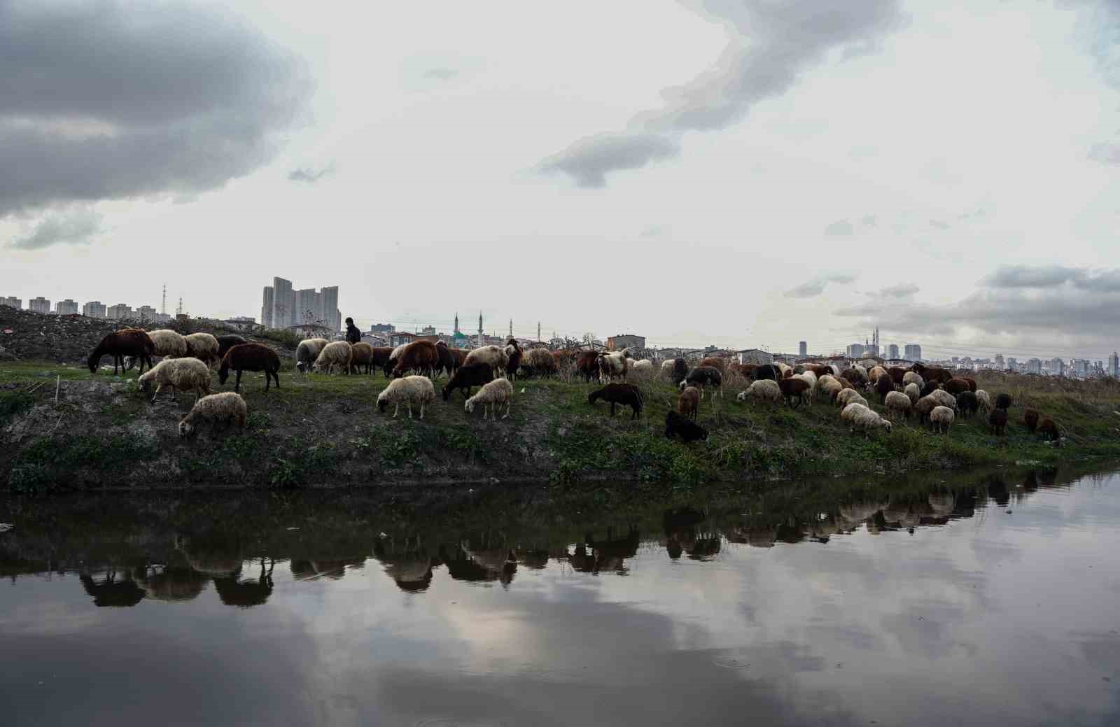 istanbulda siyaha burunen dere kirlilik saciyor 0 nfSqDaRq