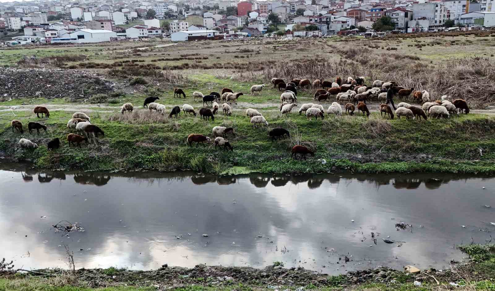 istanbulda siyaha burunen dere kirlilik saciyor 1 5mt5FH3q