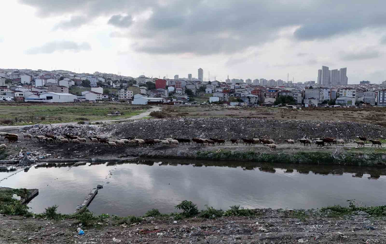 istanbulda siyaha burunen dere kirlilik saciyor 2 gtOrQWlY