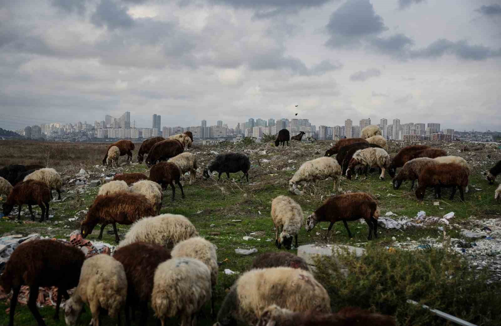 istanbulda siyaha burunen dere kirlilik saciyor 4 vFwfRPQS