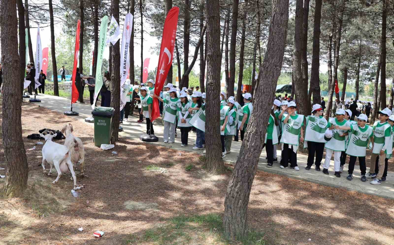 istanbulda yanginlara sebebiyet veren 3 bin 850 kilo atik toplandi 9 yD17WLnI