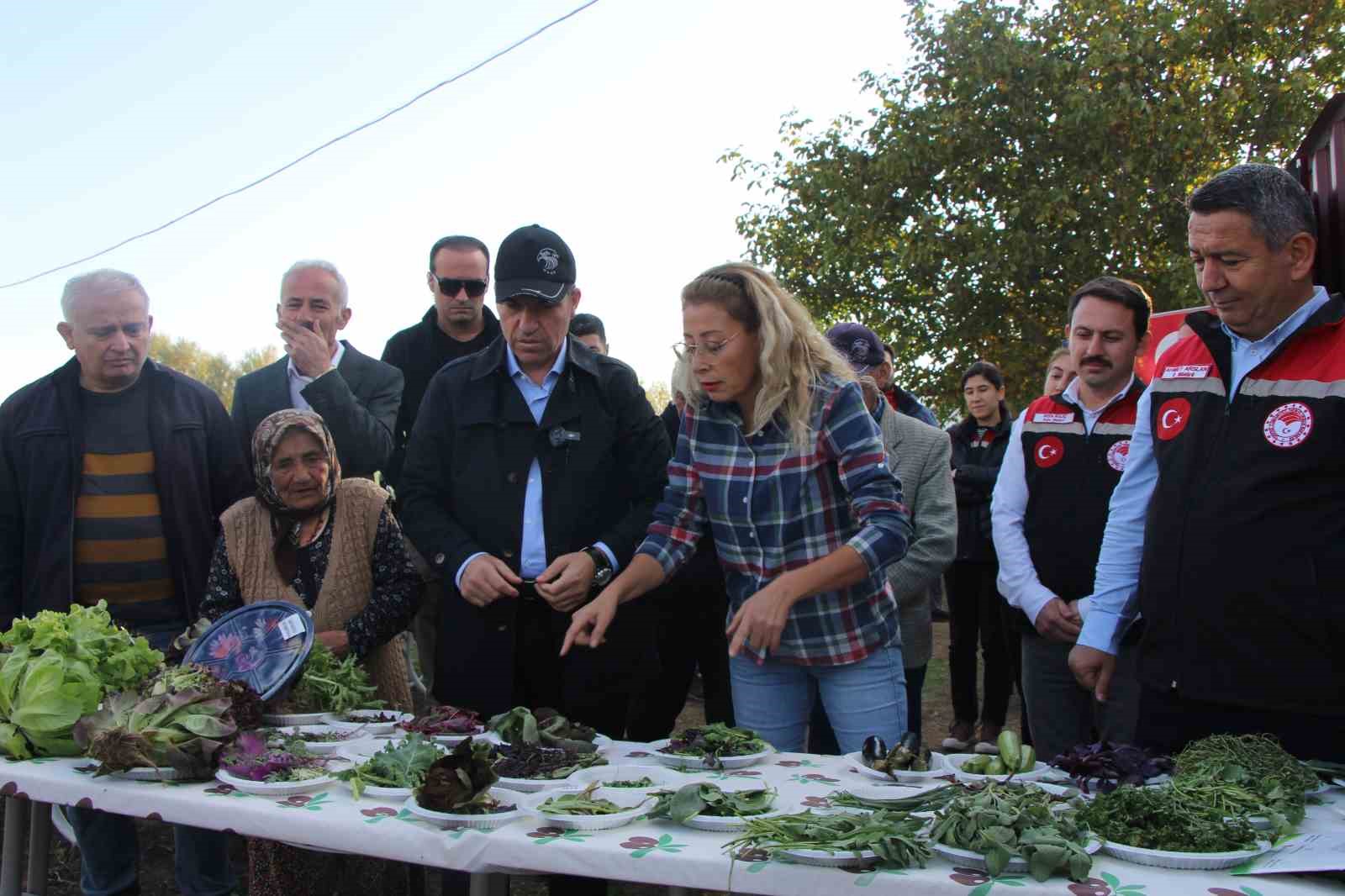 İstanbul’dan köyüne dönen gıda mühendisi kadın yeşil mirası renklendirdi 6 istanbuldan koyune donen gida muhendisi kadin yesil mirasi renklendirdi 2 NygNKdj4