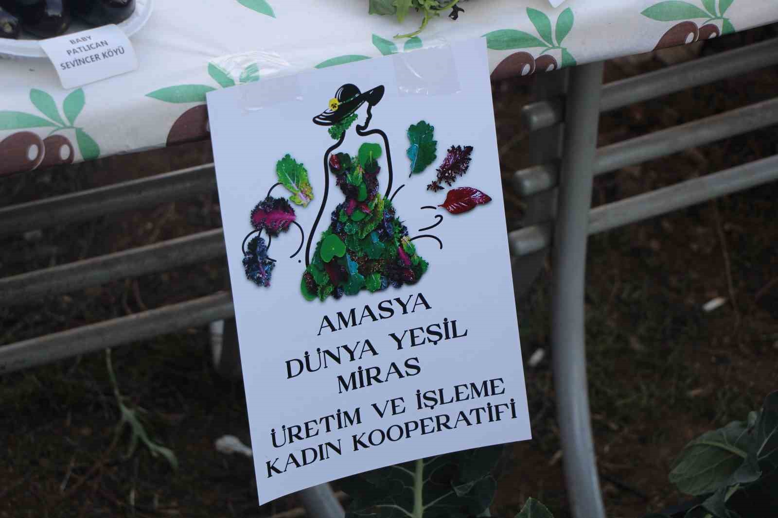İstanbul’dan köyüne dönen gıda mühendisi kadın yeşil mirası renklendirdi 12 istanbuldan koyune donen gida muhendisi kadin yesil mirasi renklendirdi 8 nPHVwgVj