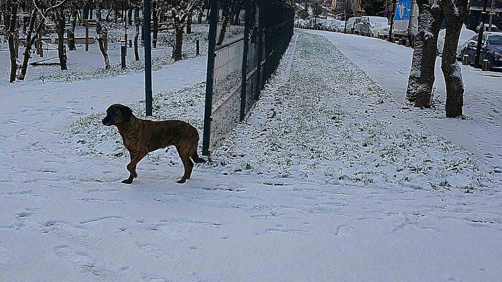 istanbulun yuksek kesimleri beyaza burundu 2 AAIBFCQJ