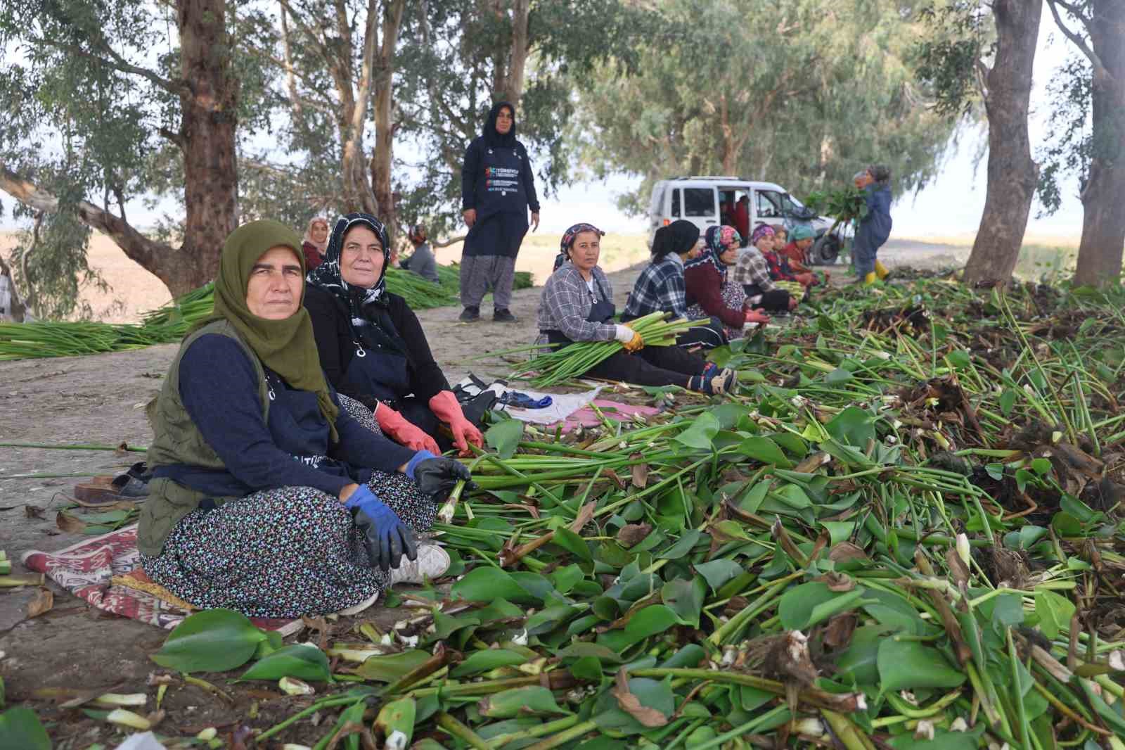 İstilacı su sümbülleri depremzede kadınların ellerinde sanat eserine dönüşüyor 4 istilaci su sumbulleri depremzede kadinlarin ellerinde sanat eserine donusuyor 0 wwSPKRWH