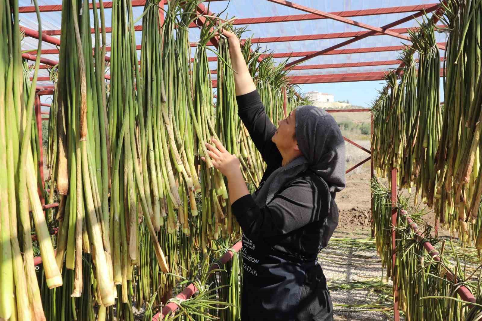 İstilacı su sümbülleri depremzede kadınların ellerinde sanat eserine dönüşüyor 6 istilaci su sumbulleri depremzede kadinlarin ellerinde sanat eserine donusuyor 2 vfYtPOJj