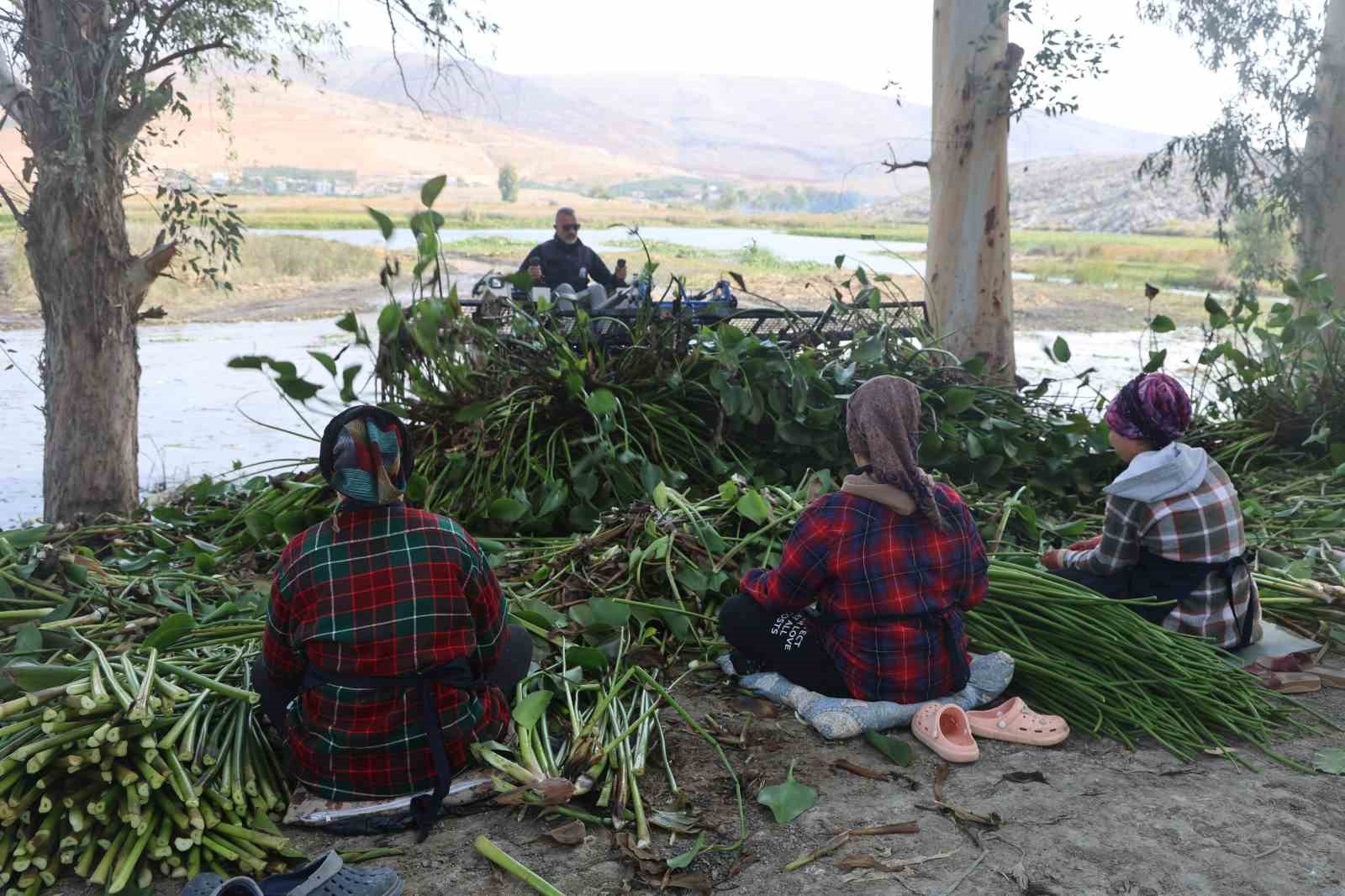 İstilacı su sümbülleri depremzede kadınların ellerinde sanat eserine dönüşüyor 10 istilaci su sumbulleri depremzede kadinlarin ellerinde sanat eserine donusuyor 6 6LpaO3X8