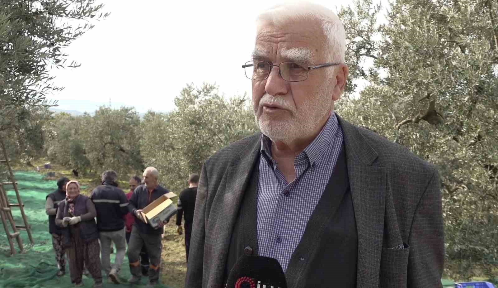 isvicre sofralarini susleyen zeytinde bu yil kalite yuksek 4 33fbYBlS