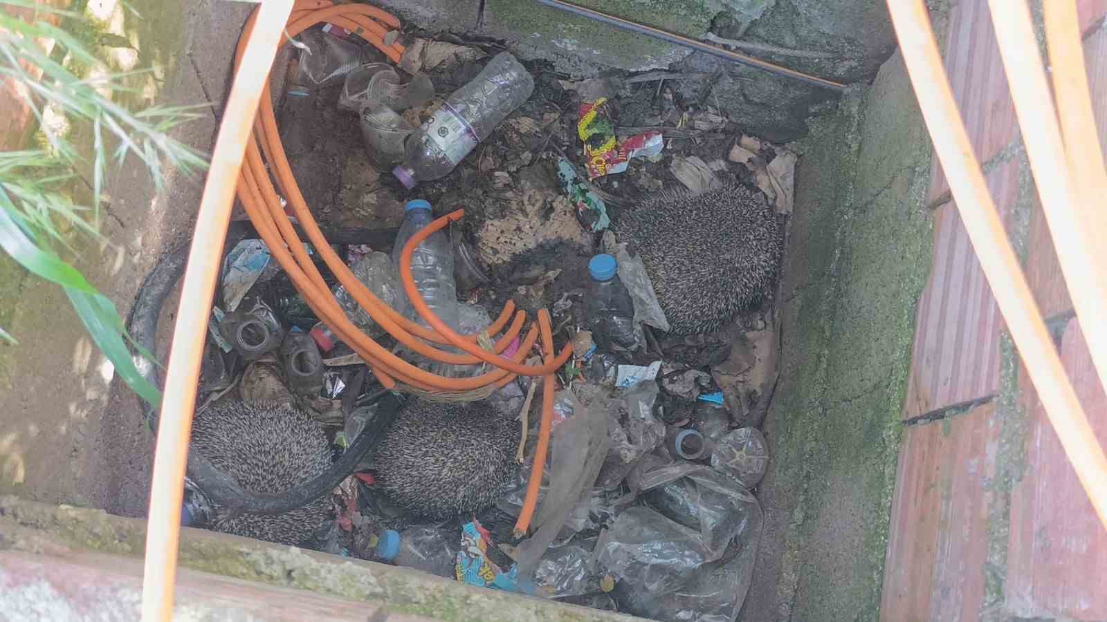 itfaiyeden rogarda uc kirpi bacada serce mesaisi 0 c21qNO3V