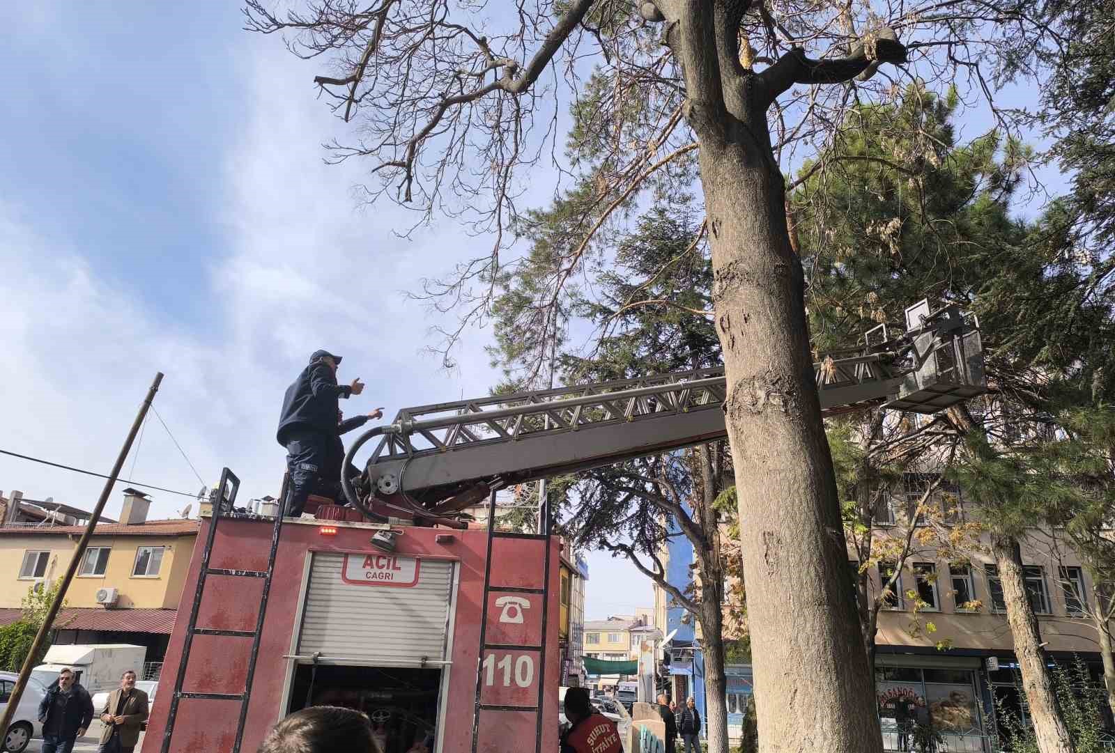itfaiyeden su fiskirtma teknigiyle kedi kurtarma operasyonu 0 zTIjEpf4