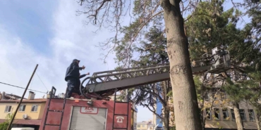 itfaiyeden-su-fiskirtma-teknigiyle-kedi-kurtarma-operasyonu-UXXmnipe.jpg